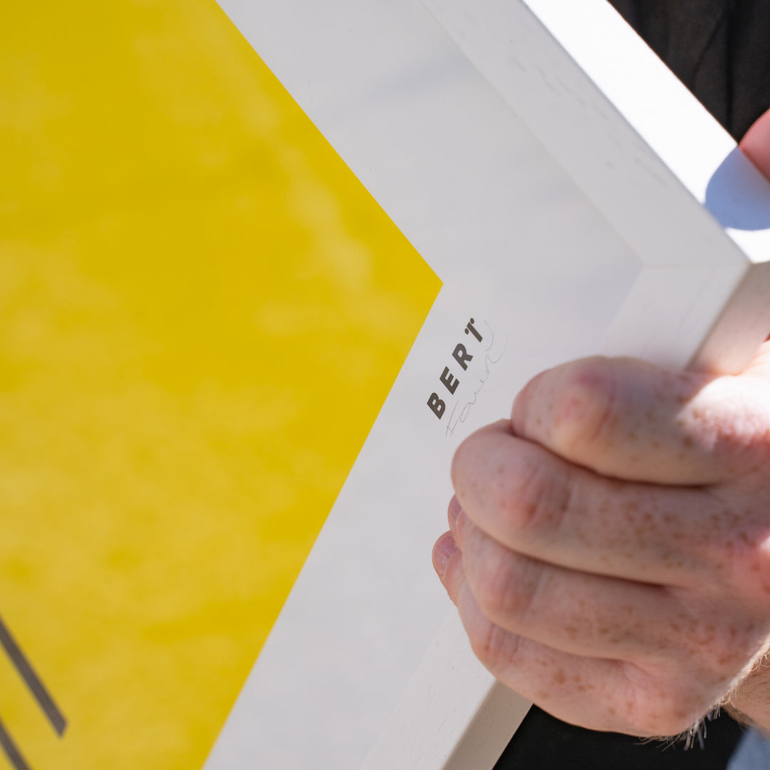 GULLS LOVE YELLOW  | OPEN EDITION WALL ART