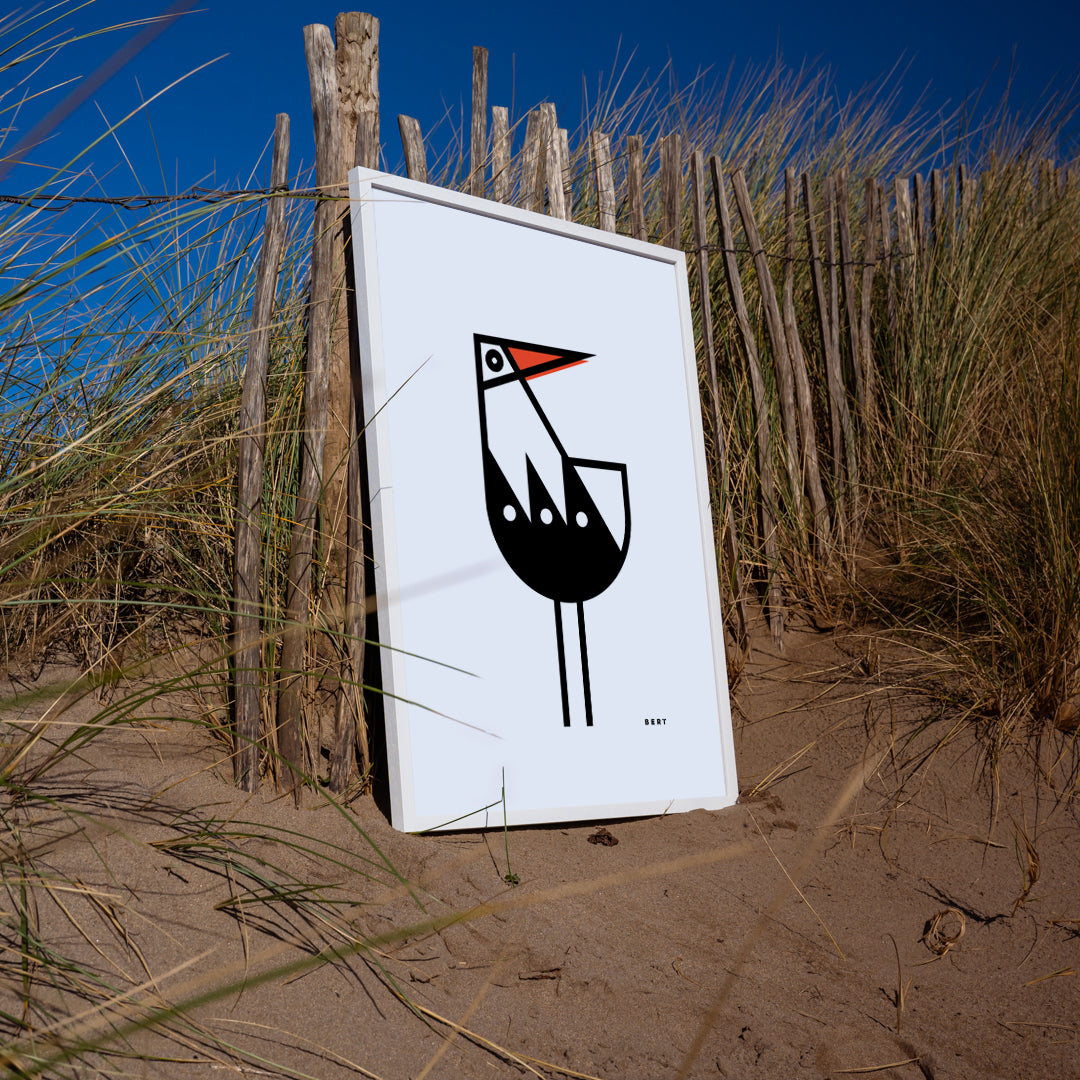 OYSTERCATCHER | OPEN EDITION WALL ART
