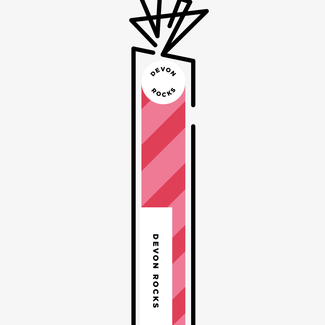 DEVON ROCKS | SPECIAL EDITION WALL ART