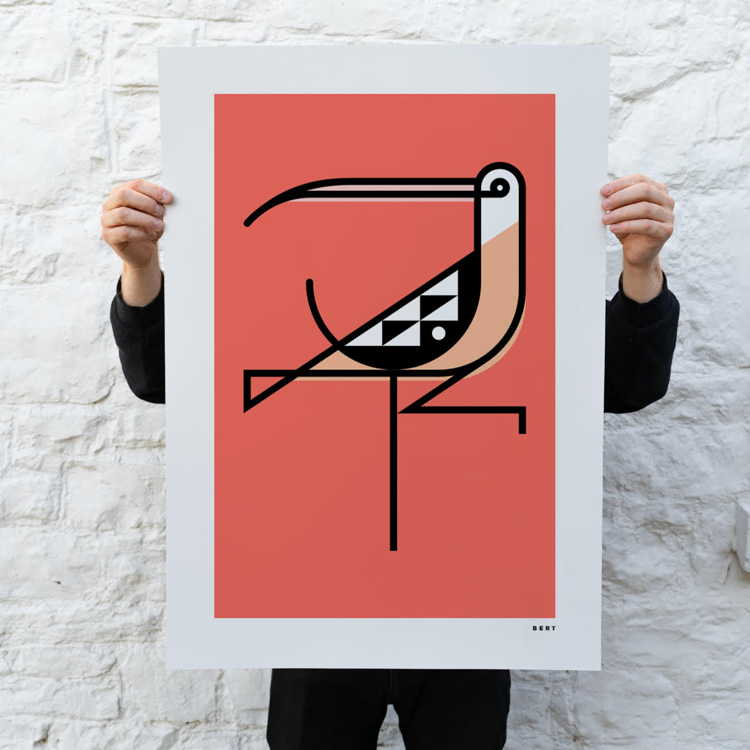 New! The Curlew on Orange | SPECIAL EDITION WALL ART